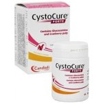 Instituto farm. Candioli S.p.A Cystocure forte 30 tbl – Hledejceny.cz