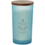 Chesapeake Bay Candle Chesapeake Bay Reflection + Clarity 354 g – Zboží Mobilmania