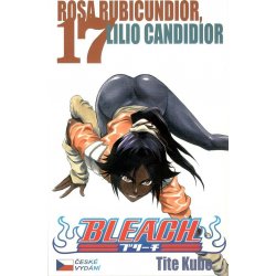 Bleach 17