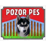 Pozor pes - Sibiřský Hasky, plast 210 x 148 x 2 mm A5