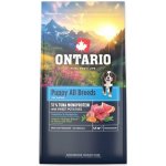 Ontario Puppy & Junior All Breeds Monoprotein Tuna & Sweet Potatoes 20 kg – Zboží Mobilmania