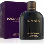 Dolce & Gabbana Intenso parfémovaná voda pánská 125 ml – Hledejceny.cz