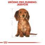 Royal Canin Dachshund Puppy 1,5 kg – Hledejceny.cz