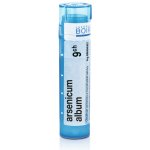 ARSENICUM ALBUM POR 9CH GRA 1X4G – Hledejceny.cz