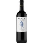 Dominio del Challao Angelita del Challao 2021 Červené 13,5% 0,75 l (holá láhev) – Hledejceny.cz