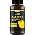Garcinia Cambogia 510 mg 50 % HCA 90 kapslí – Hledejceny.cz