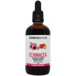 Botanicals 4 life Bylinná tinktura z extraktů třešně aceroly a echinacey 100 ml – Hledejceny.cz