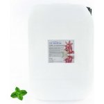 PM Aqualog esence do parních kabin máta 856-010/D 10 l – Hledejceny.cz