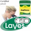 Vitamíny pro psa cdVet Bylinkový Dogfitness 200 g