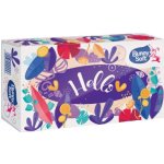 Bunny Soft Papírové kapesníky v krabičce 2-vrstvé 100 ks – Zbozi.Blesk.cz