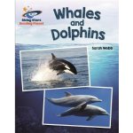 Reading Planet - Whales and Dolphins - White: Galaxy – Hledejceny.cz