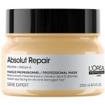 L´Oréal Professionnel Serie Expert Absolut Repair regenerační maska na vlasy 250 ml – Zboží Dáma