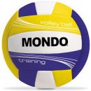 Mondo Vollley Training