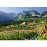 Cherry Pazzi Gąsienicowa dolina Vysoké Tatry 1000 dílků – Hledejceny.cz