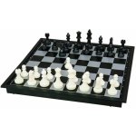 Dino Dino Magnetické šachy DI631489 – Zboží Živě