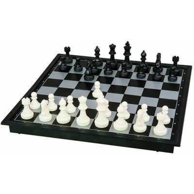 Dino Dino Magnetické šachy DI631489 – Zboží Živě