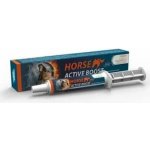 Horse Active Boost perorální pasta 20 g – Hledejceny.cz