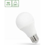 SPECTRUM LED E27 LED ŽÁROVKA 9W, A60 Studená bílá – Hledejceny.cz