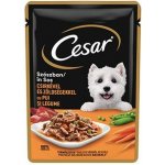Cesar Chutné kuřecí se zeleninou 100 g – Sleviste.cz