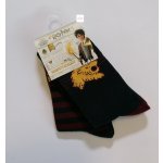 Harry Potter Dětské ponožky 2pack – Zboží Mobilmania