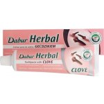 Dabur Cavity Protection s Hřebíčkem 100 ml – Zbozi.Blesk.cz
