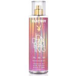 COTY ASTOR S.A. Playboy body Mist Day Dreaming sprej 250 ml – Hledejceny.cz