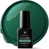 Gel lak Enii Nails RockLac S165 -Deep Forest 5 ml