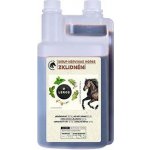Leros Sirup Nervinae Horse 1000 ml – Zboží Dáma