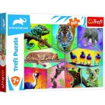 TREFL Animal Planet: Svět exotických zvířat 200 dílků – Hledejceny.cz