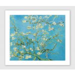 Mandlový květ - Vincent van Gogh Bílý okraj: okraj 5 cm – Zboží Dáma