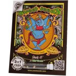 Sweet Seeds Jack 47 Fast Version semena neobsahují THC 5 ks – Zboží Dáma