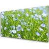 Obraz akrylový obraz Květiny Tráva Rostlina Příroda 100x50 cm