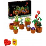 LEGO® Icons™10329 Malé rostliny – Zboží Dáma