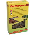 Lucky Reptile Earthworms 10 g – Zboží Dáma