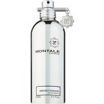 Montale Embruns d'Essaouira parfémovaná voda unisex 100 ml tester – Hledejceny.cz