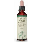Bachovy květové esence Vlašský ořech Walnut 20 ml – Hledejceny.cz