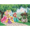 Tapety AG Design FTDNM-5231 Dětská vliesová fototapeta na zeď - Disney, Princezny se zvířátky, rozměry 155 x 110 cm