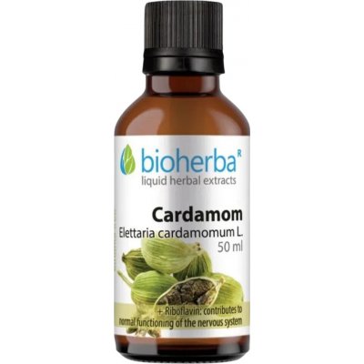Bioherba Kardamom tinktura kapky 50 ml – Hledejceny.cz