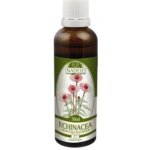 Naděje Echinacea tinktura z byliny 50 ml – Hledejceny.cz
