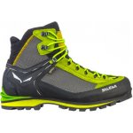 Salewa MS Crow GTX Cactus Sulphur Spring – Hledejceny.cz