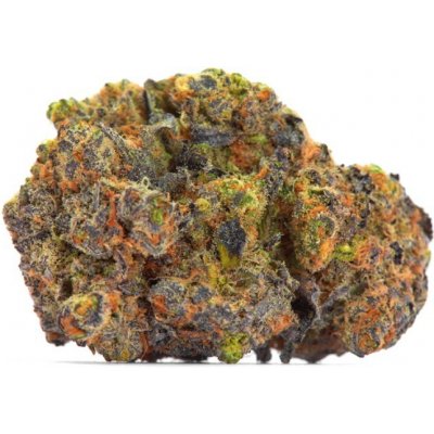 Growers Choice San Fernando Valley x The Purps semena neobsahují THC 3 ks – Zboží Dáma