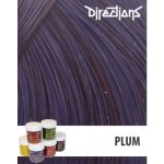 La Riché Directions 10 Plum 89 ml – Hledejceny.cz