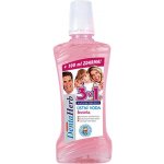 Denta Herb Ustní voda s Brusinkou 500 ml – Hledejceny.cz