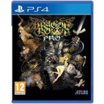 Dragons Crown Pro – Hledejceny.cz