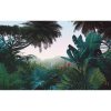 Tapety Komar Vliesová fototapeta Jungle Morning rozměry 400 x 250 cm