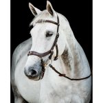 HORSEWARE Micklem Multi Bridle 2 dark havana/ – Sleviste.cz