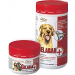 Orling - Gelacan Plus Darling 500 g – Zbozi.Blesk.cz