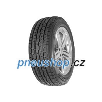 Cooper WM Ice 100 215/55 R16 93T