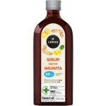 Leros Sirup Echinacea Imunita 250 ml – Hledejceny.cz