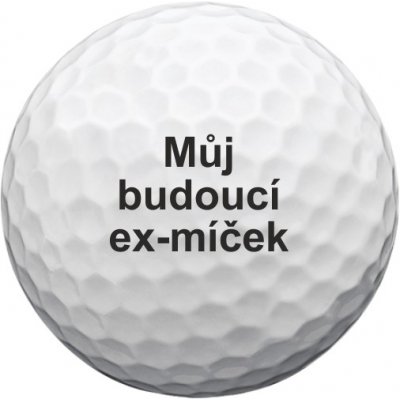 Titleist Pro V1 Můj budoucí ex-míček 12 ks – Sleviste.cz
